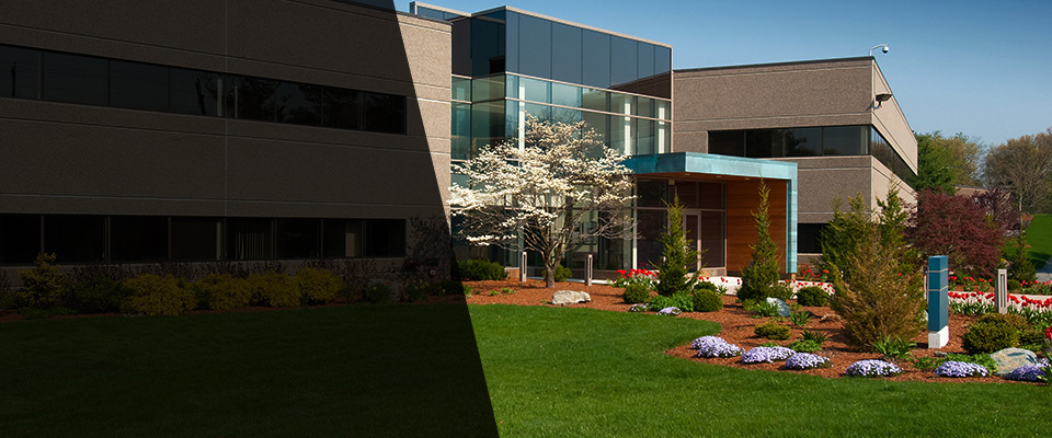 Willingboro Landscapers