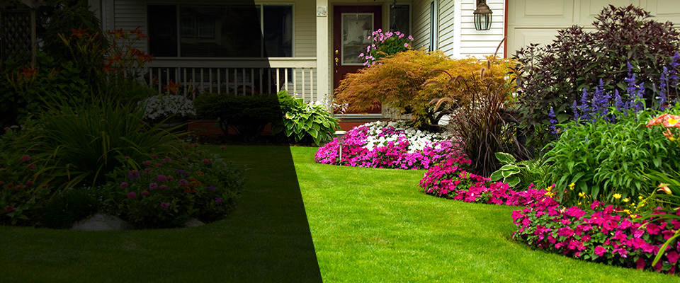 Willingboro Landscapers