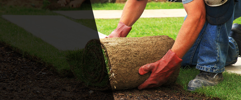 Willingboro Landscapers